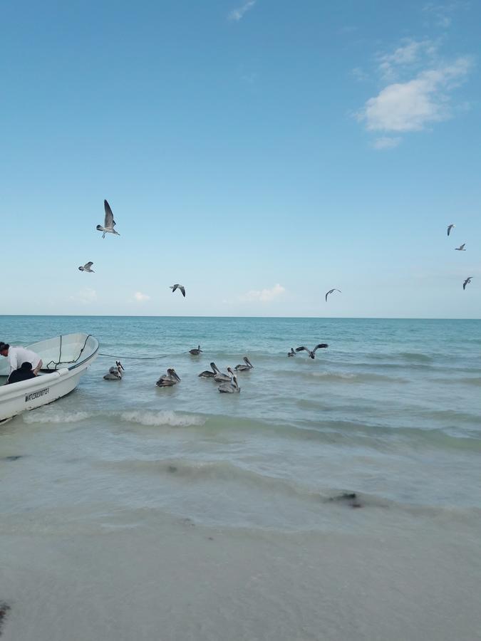 Hostel La Isla Holbox Exterior foto